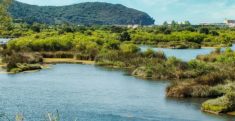 Qué hacer en Noja en agosto